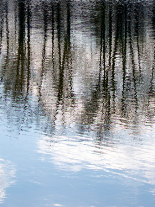 L'exposition "De l'eau" photographie de Cloée Pouthier